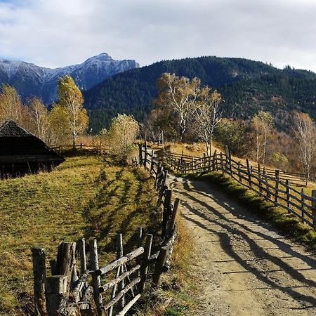Pensiunea Montan Din Bran,Sat Simon Spa Indoor Bran  Exteriér fotografie