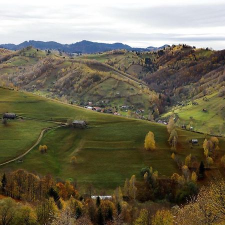 Pensiunea Montan Din Bran,Sat Simon Spa Indoor Bran  Exteriér fotografie
