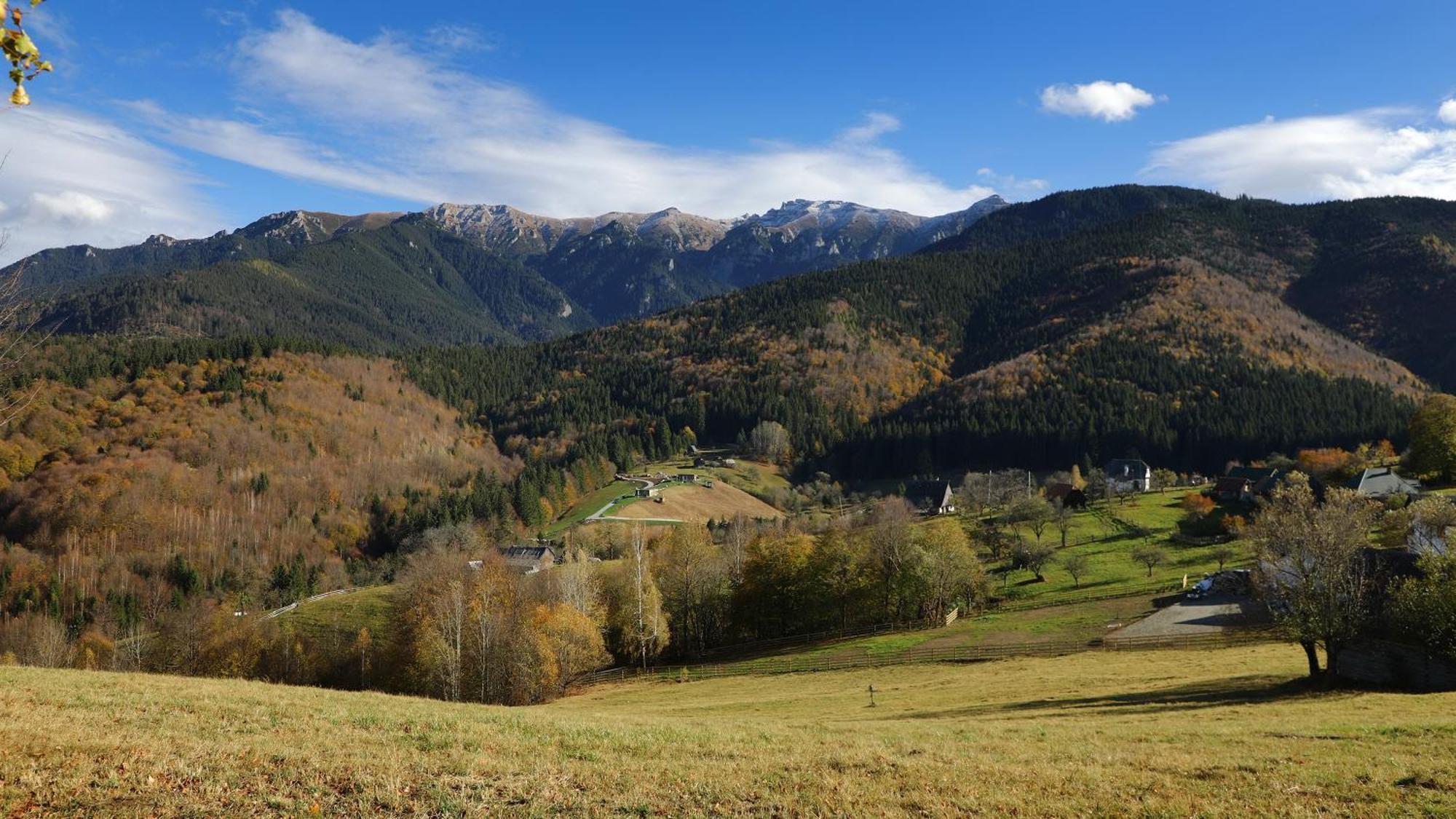 Pensiunea Montan Din Bran,Sat Simon Spa Indoor Bran  Exteriér fotografie