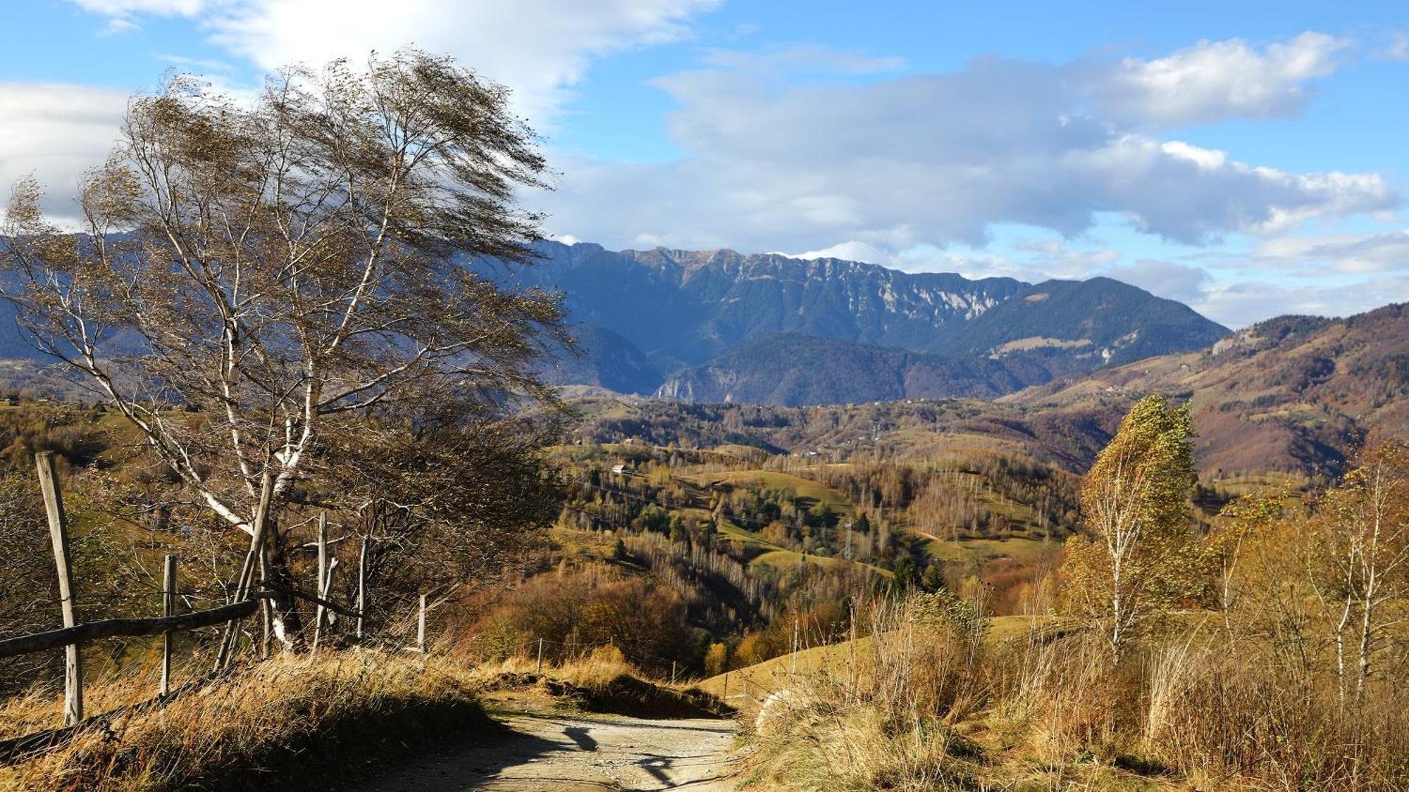 Pensiunea Montan Din Bran,Sat Simon Spa Indoor Bran  Exteriér fotografie